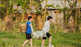 在线观看向往生活,共享美好时光——跟随向往生活探寻乡村魅力