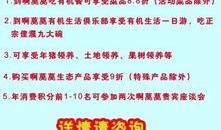 农村爆料标题大全集最新,揭秘最新热点事件背后的真相
